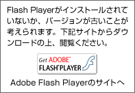 Flash PlayerCXg[ĂȂAo[WÂƂl܂BLTCg_E[h̏A{B